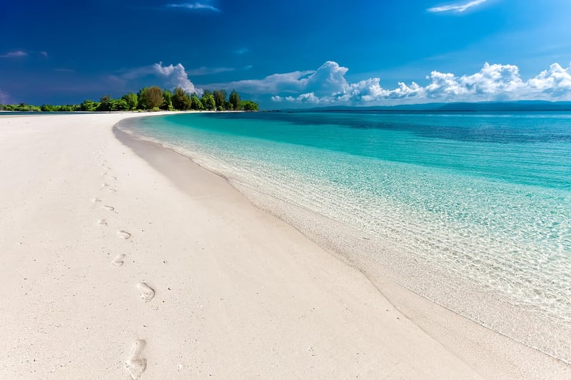 Beach Paradise